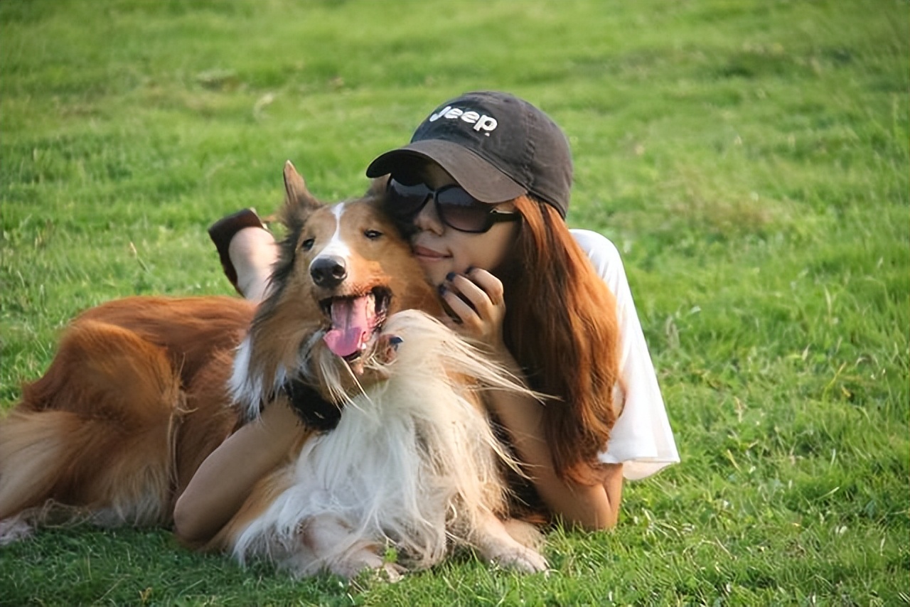 养公狗对身体的好处,养公狗的好处与功效