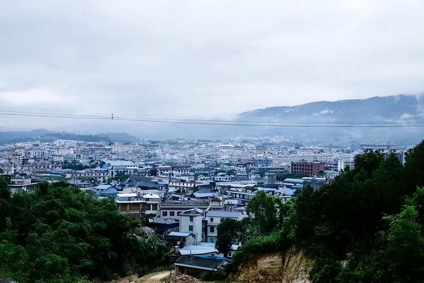 李赛高是不是诈骗犯,李赛高真的是诈骗犯吗