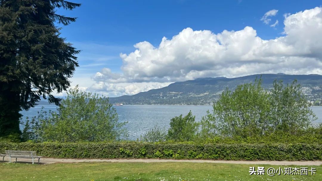 加拿大vs美国队,加拿大vs美国篮球