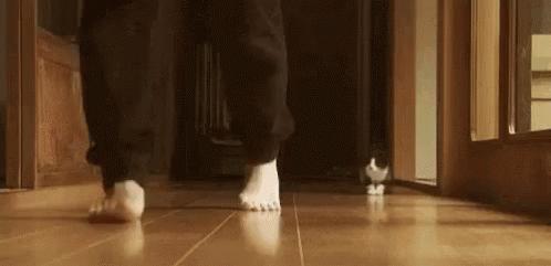 救命！猫咪太黏我了怎么办？