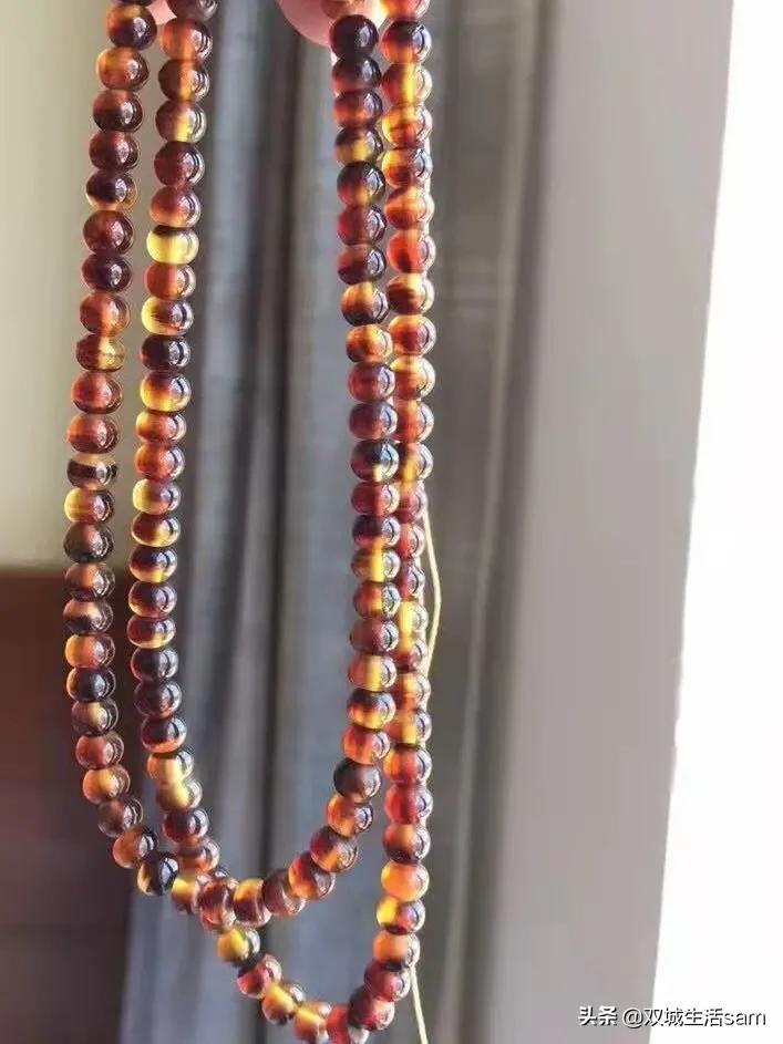 玳瑁为什么又是猫又是龟,玳瑁猫为啥叫玳瑁