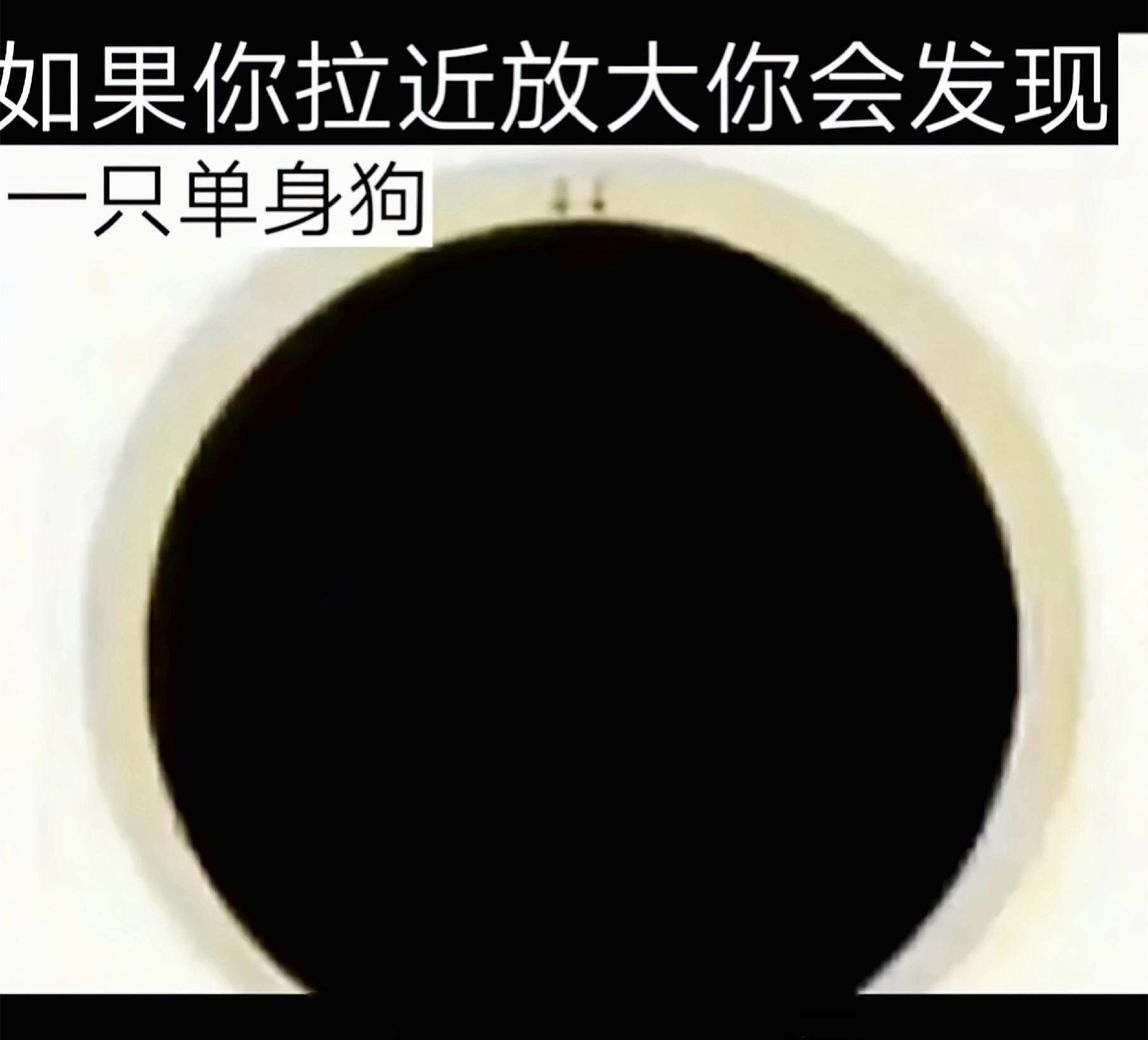 我信了，牛肉面里是有真牛的