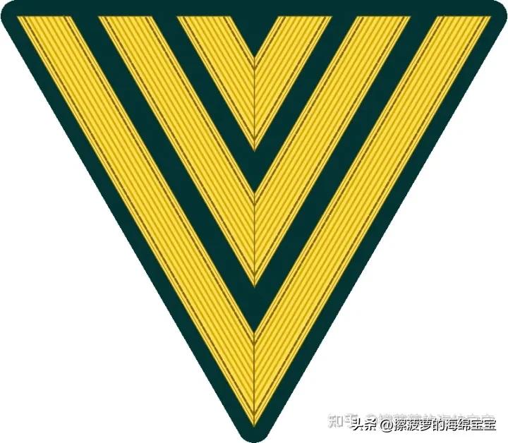 二战德国国防军医疗兵军衔标志