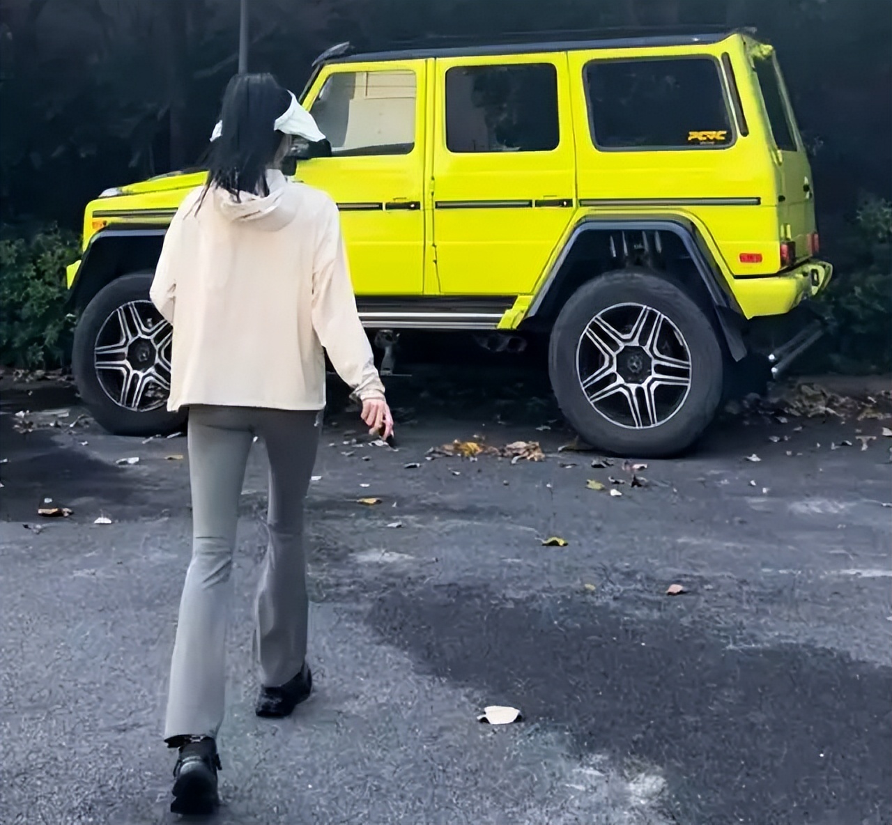 韦世豪妻子吴雅哪里人,韦世豪吴雅是夫妻吗