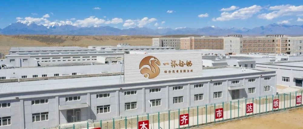 驼福记全脂骆驼奶粉,驼福记骆驼奶粉价格