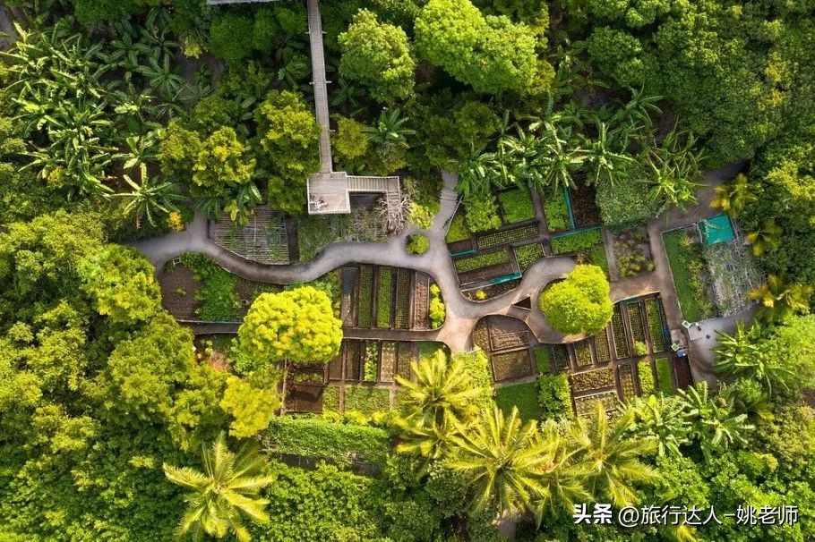 国内有直飞马尔代夫的航班吗 (北京上海直飞马尔代夫复航)