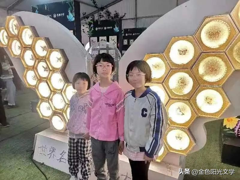 南阳周边游老君山,南阳恐龙遗迹园旅游攻略