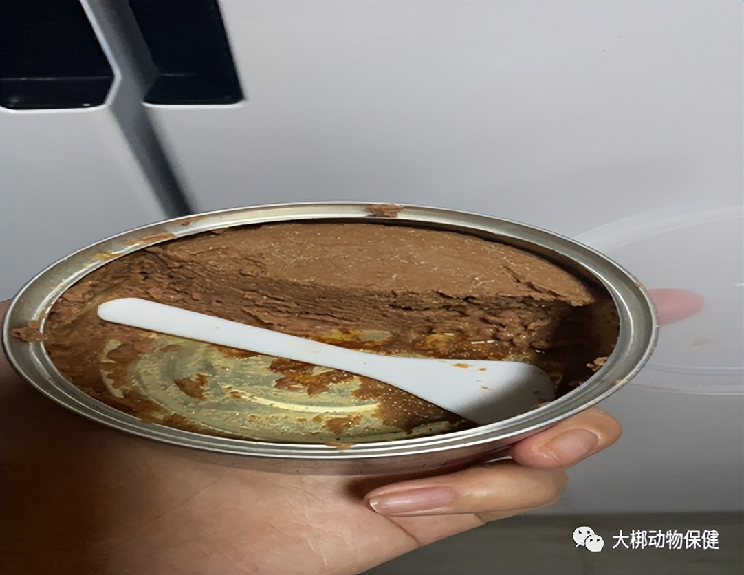 急性胰腺炎疑难病例讨论,狗狗为什么会得急性胰腺炎