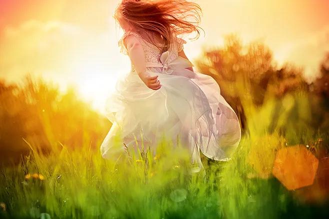 一只腊月猪的宿命