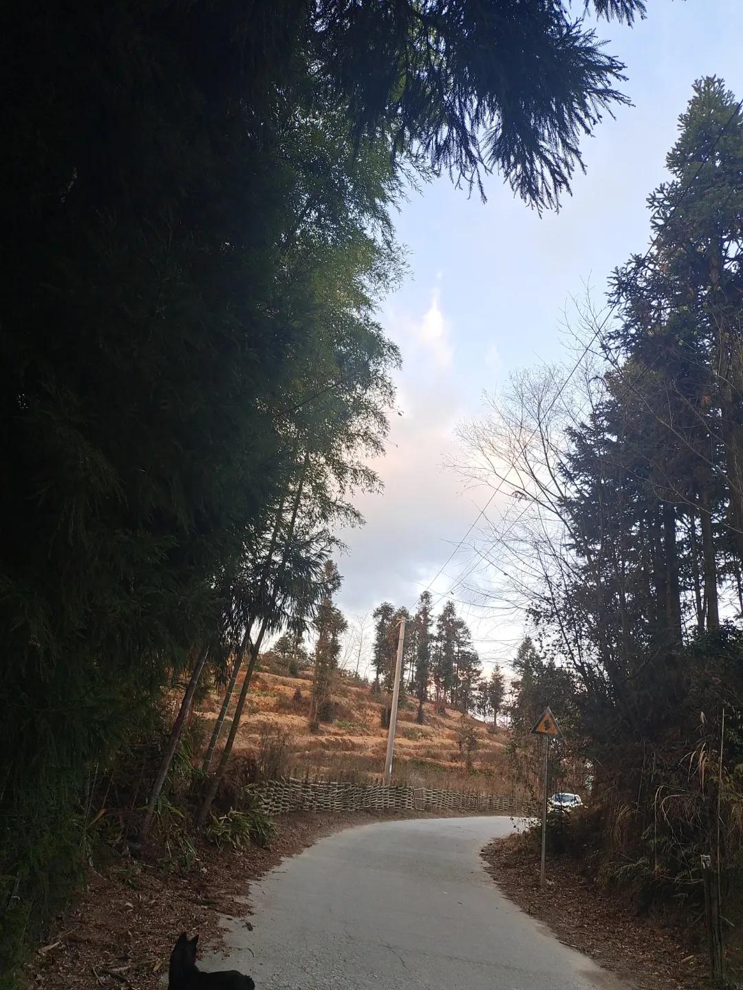 审稿快过稿率高的投稿平台,有哪些比较好的低门槛投稿平台