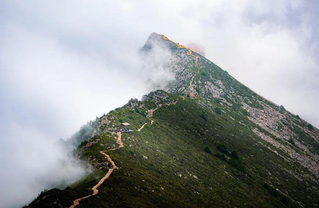 黄土高原是怎么生存的,黄土高原怎么来