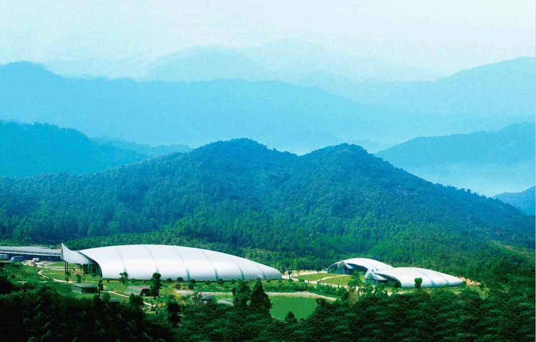 怡宝传上市，为何百岁山成了最大赢家？