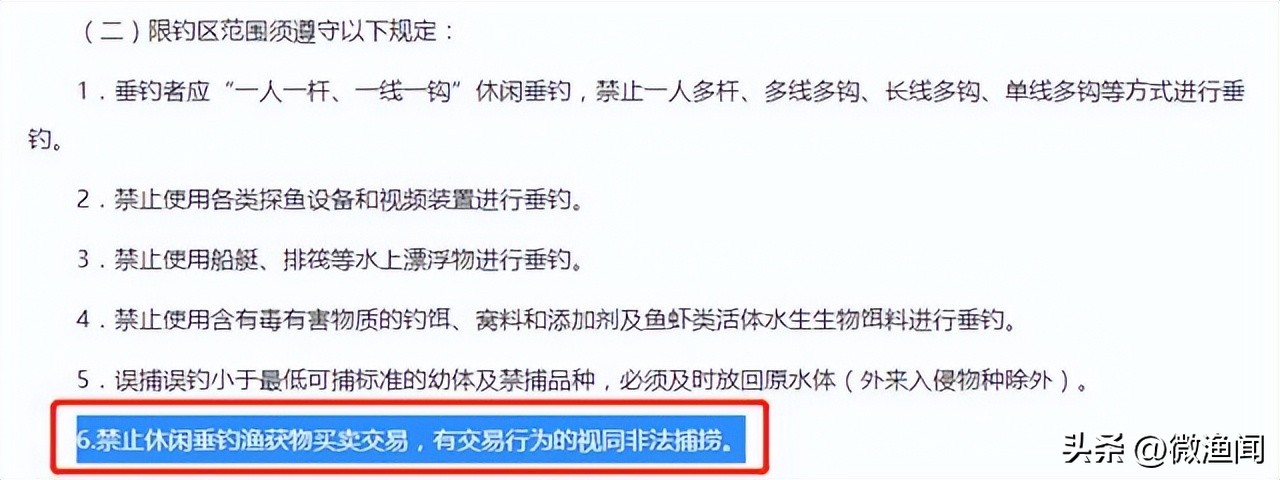 遛鱼巨青,网红钓鱼500块钓到6000块的鱼