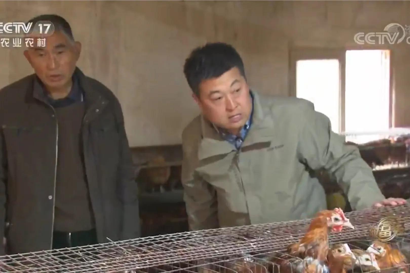 200亩荒山变成聚宝盆,荒山摇身一变成村民聚宝盆