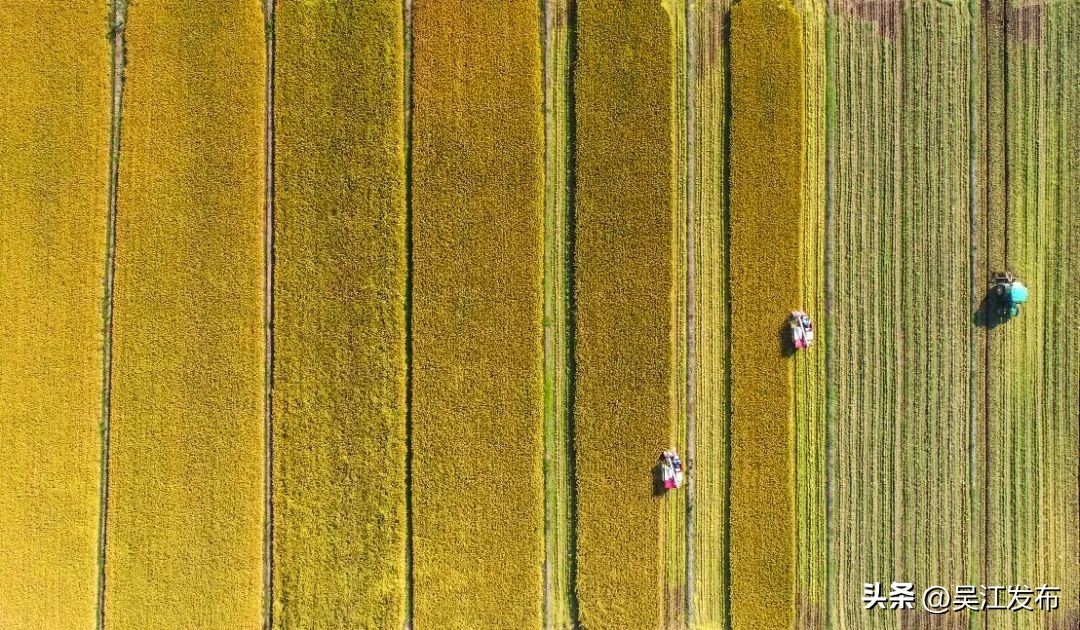 吴江区经济情况,吴江经济现状如何