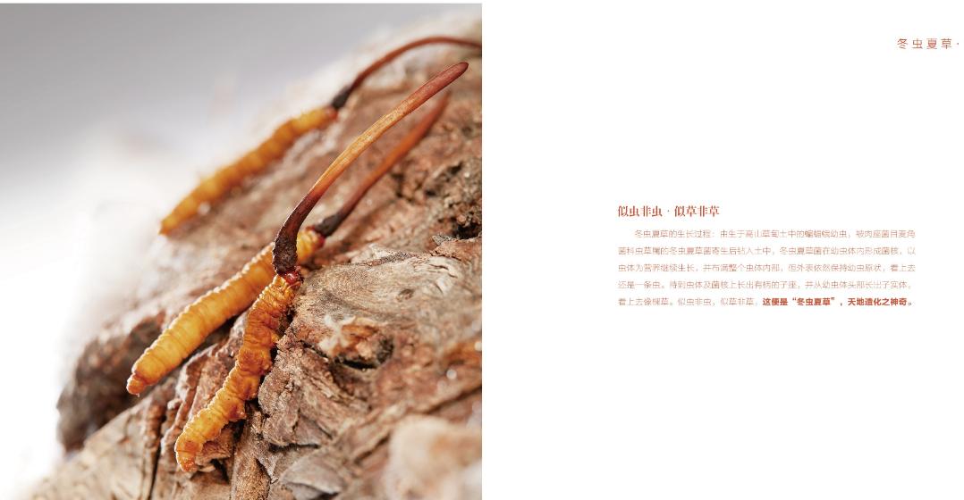 被商家吹爆的5种保健品,被商家捧上天的5种保健品