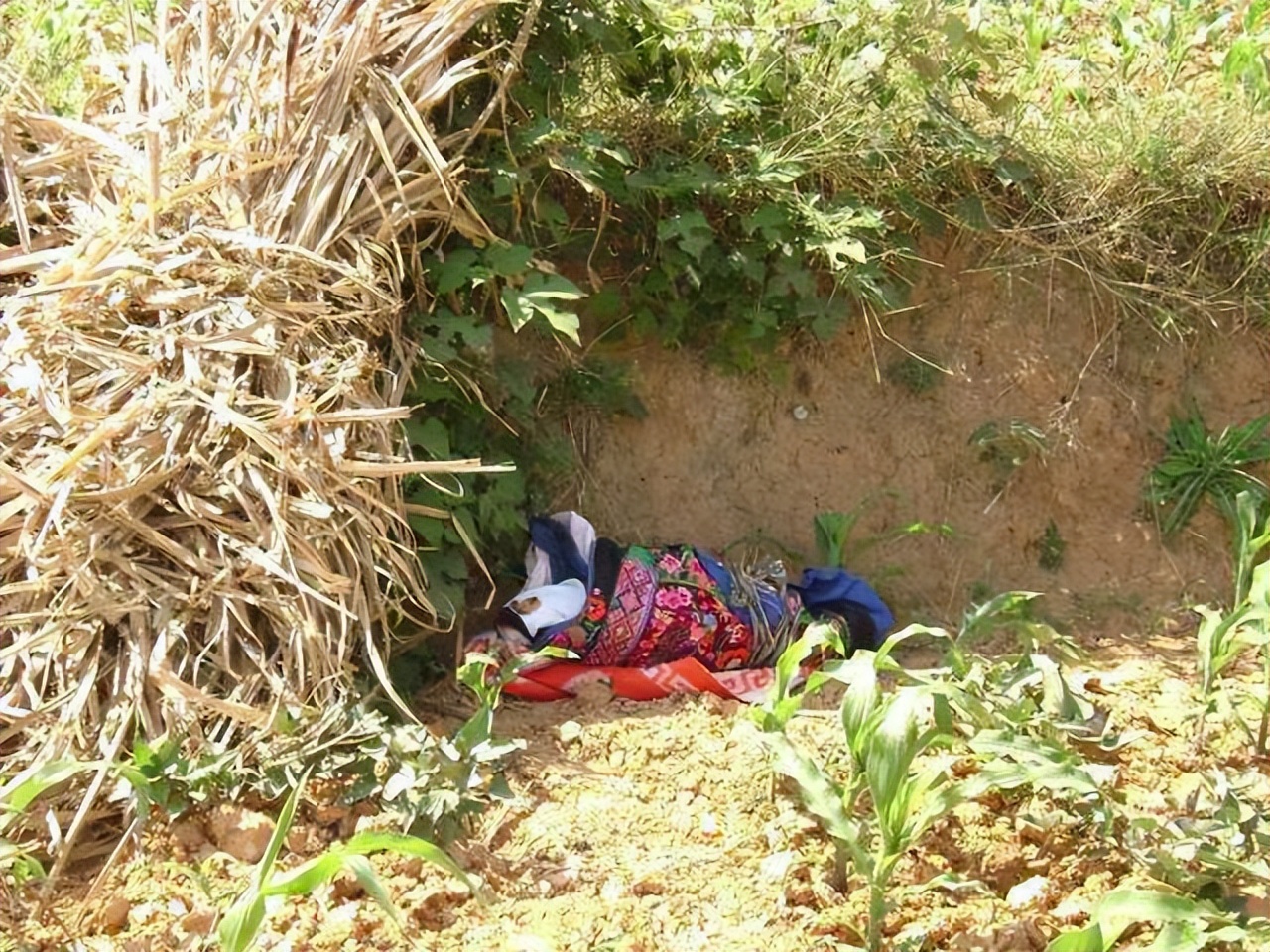 8岁白血病女孩现状,8岁女孩白血病自愿放弃治疗电影