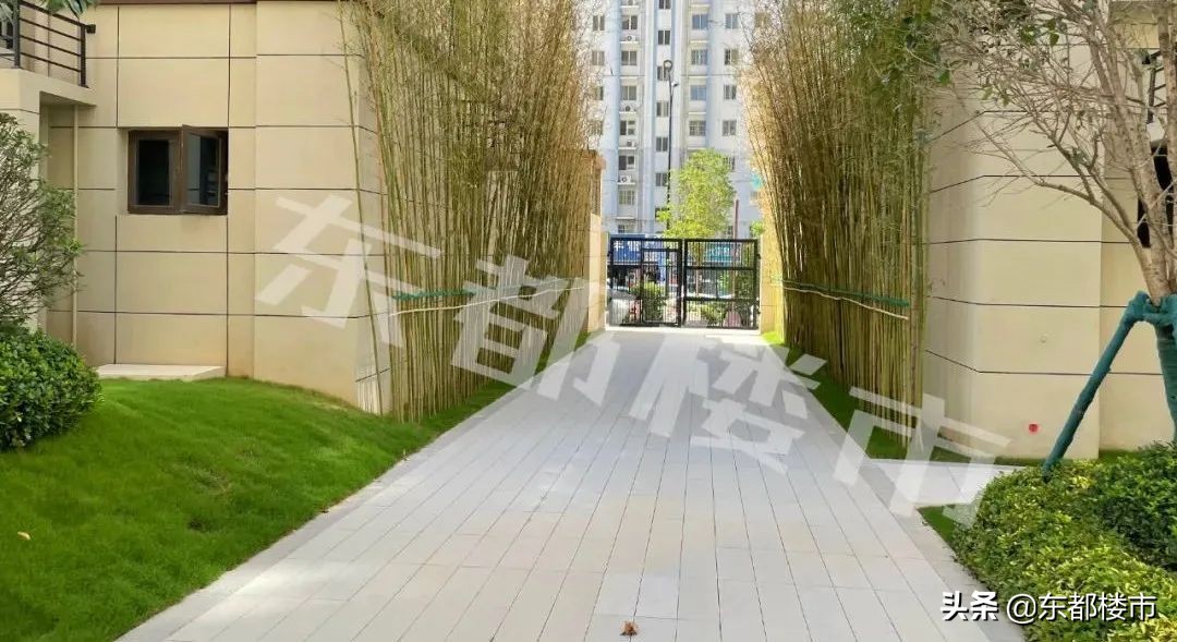 洛阳碧桂园幸福里一期交房时间,碧桂园幸福里房子质量如何