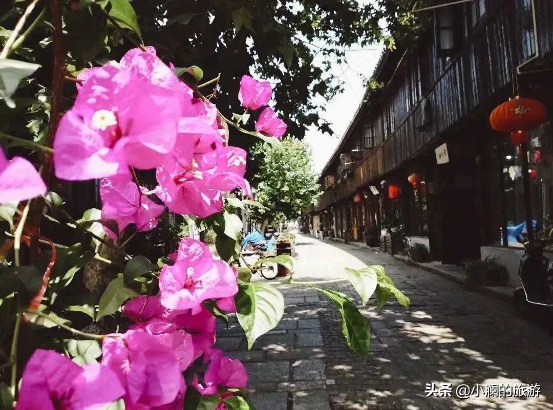 上海免费十大古镇景点排名,上海免费十大古镇景点推荐