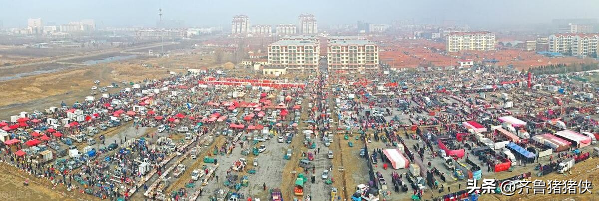 全国强镇100强山东,2023全国镇域经济500强排名