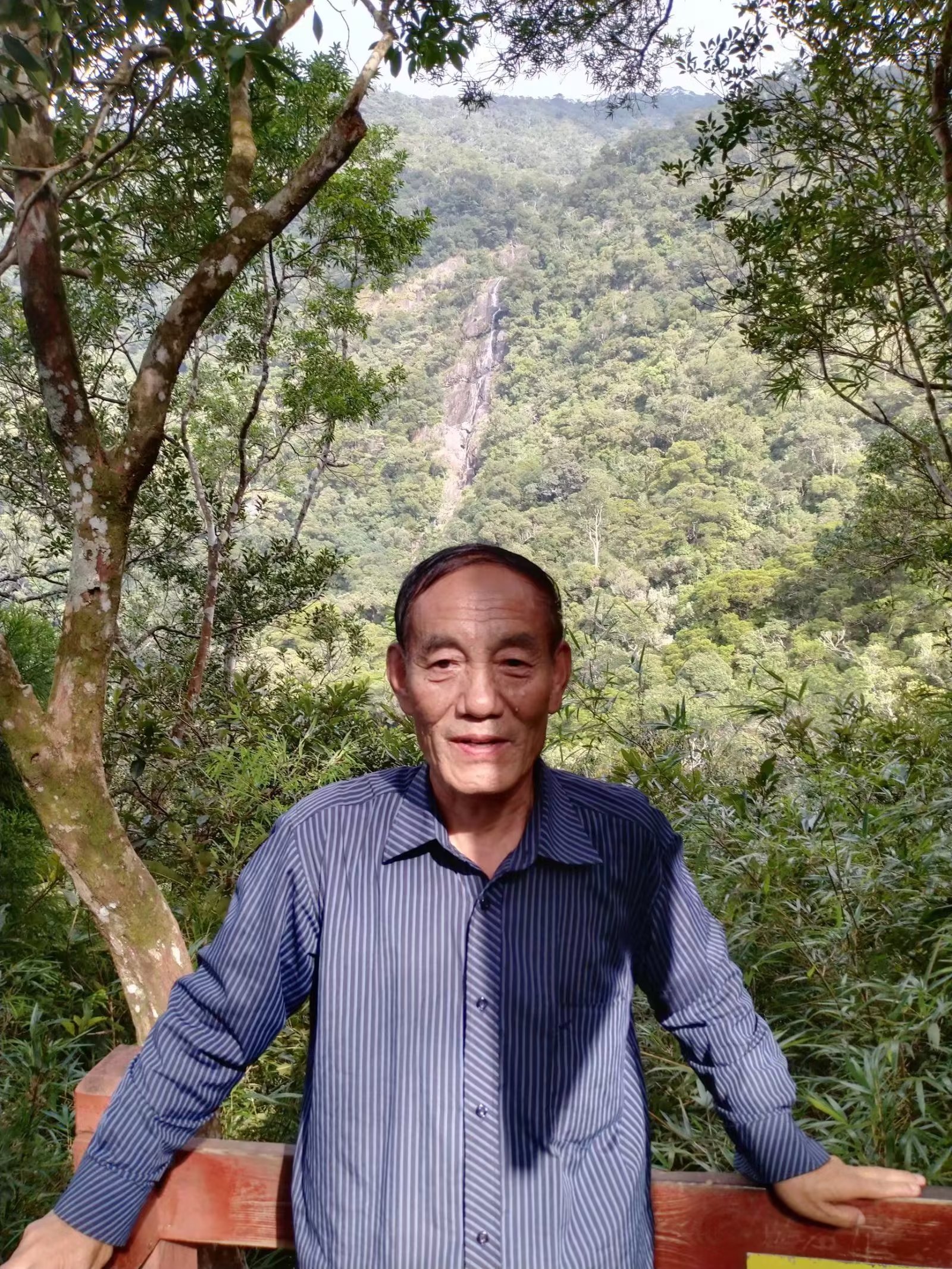 三亚之旅日记350字,三亚五指山免费游玩攻略