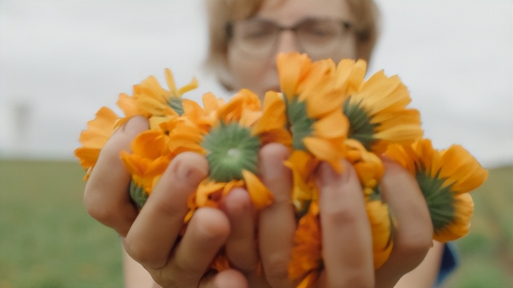 宝弘金盏花面霜两个版本区别,宝弘金盏花面霜效果好吗