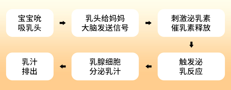母乳秒get|第一章如何开奶?