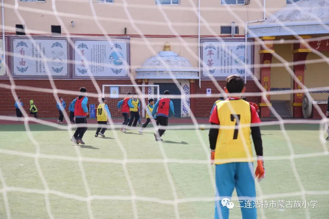 助力双减活动小学,助力双减多彩校园