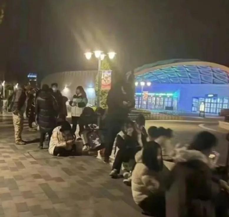 凌晨超5000人买迪士尼玩偶,凌晨3点超5000人迪士尼排队买玩偶