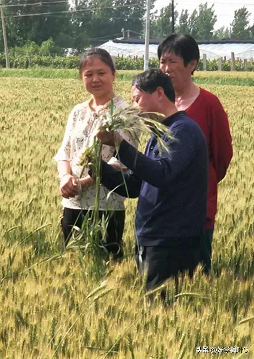 农村村民微信群文明公约,村民委员微信群管理制度公告