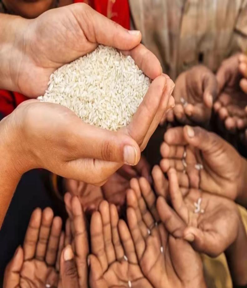 北大荒垦荒什么时候开始的,北大荒退耕还荒原因