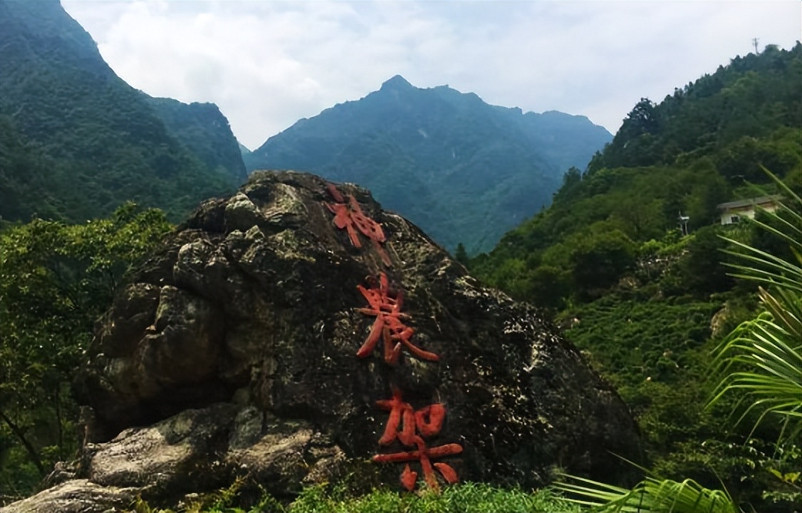 1974年“鸡冠龙”被当作巨蛇打死，专家：痛失解开千古之谜的机会