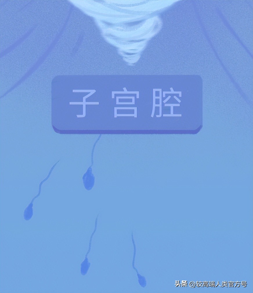 “一夜情”怀孕的几率有多大？男人该如何判断孩子是不是我的？