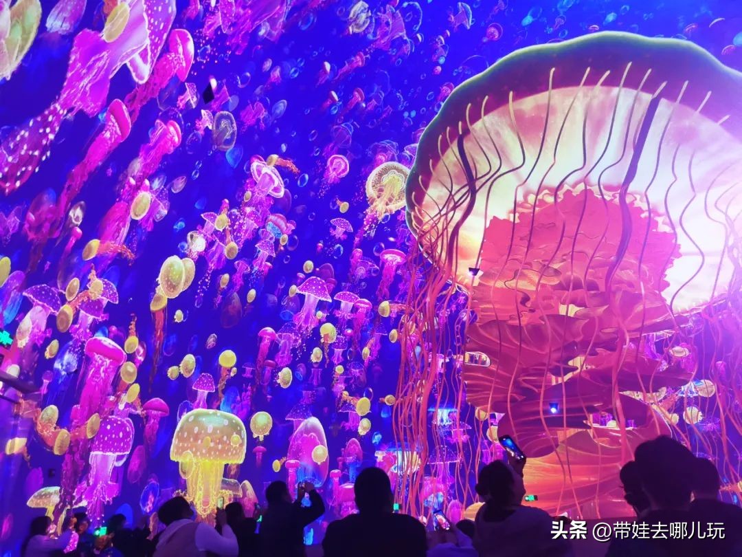 天津海昌极地海洋公园冬天营业吗,天津海昌极地海洋公园游玩攻略