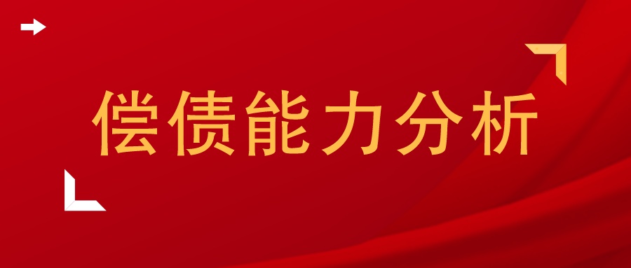 某某企业偿债能力分析论文范文,房地产企业偿债能力论文