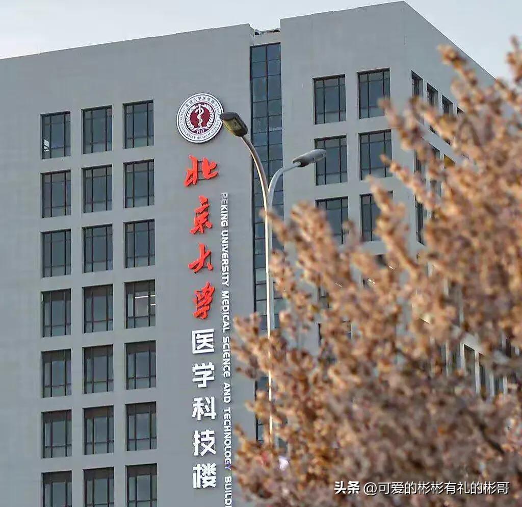 北京大学医学部临床8年与临床5年,北京大学临床医学八年制