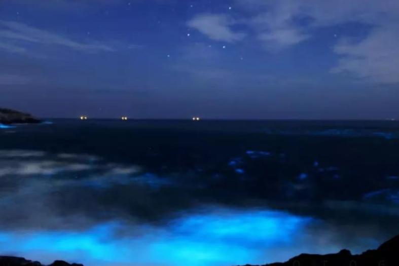 东极岛攻略价格,东极岛攻略需要带什么