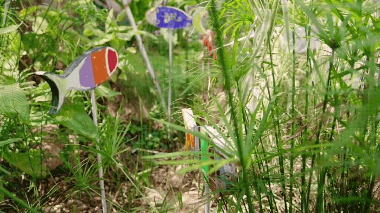 2个北大学霸，在房价10万一平的深圳市中心，造了80座花园