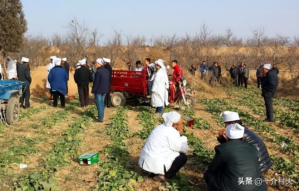 农村耕地埋坟合法吗,农村土地埋坟新政策