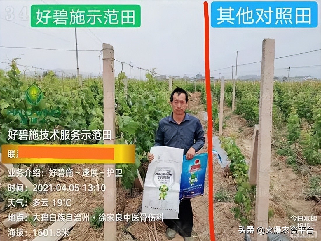 氨基酸肥料的9大优势,做农资需要掌握的知识