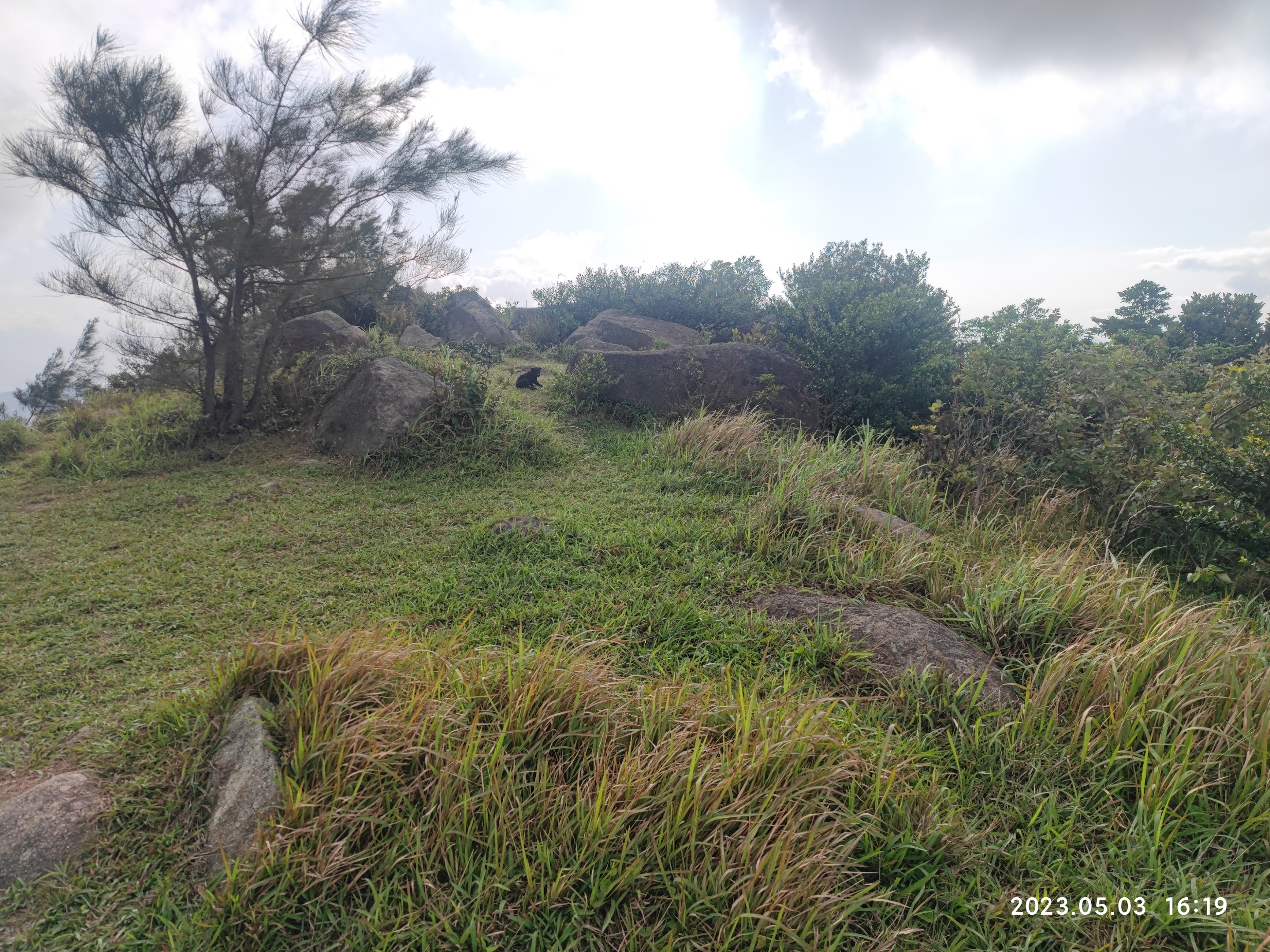 徒步香港大帽山,香港麦径徒步攻略