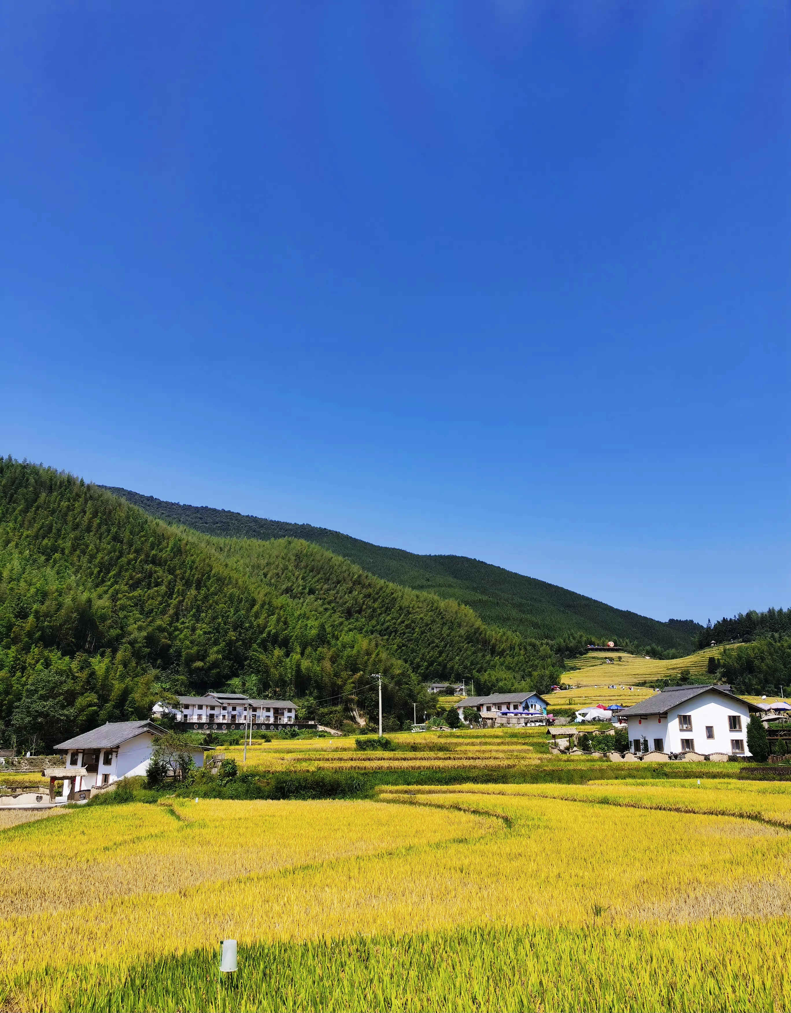 江西有哪些梯田风景区,江西梯田排名前十的梯田