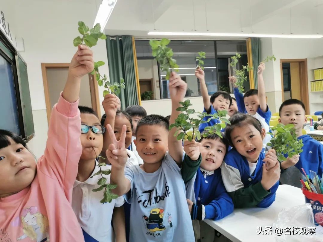 点亮时代文化之光,点亮中华优秀传统文化的智慧之光