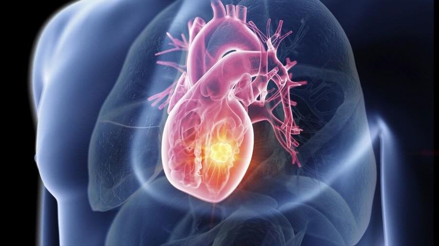 叶酸和维生素E，男性阳痿应该补充哪一种，如何补充更有效？