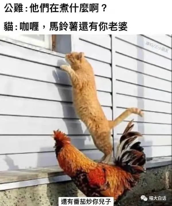 曝光聊天记录事件,曝光聊天记录反转事件