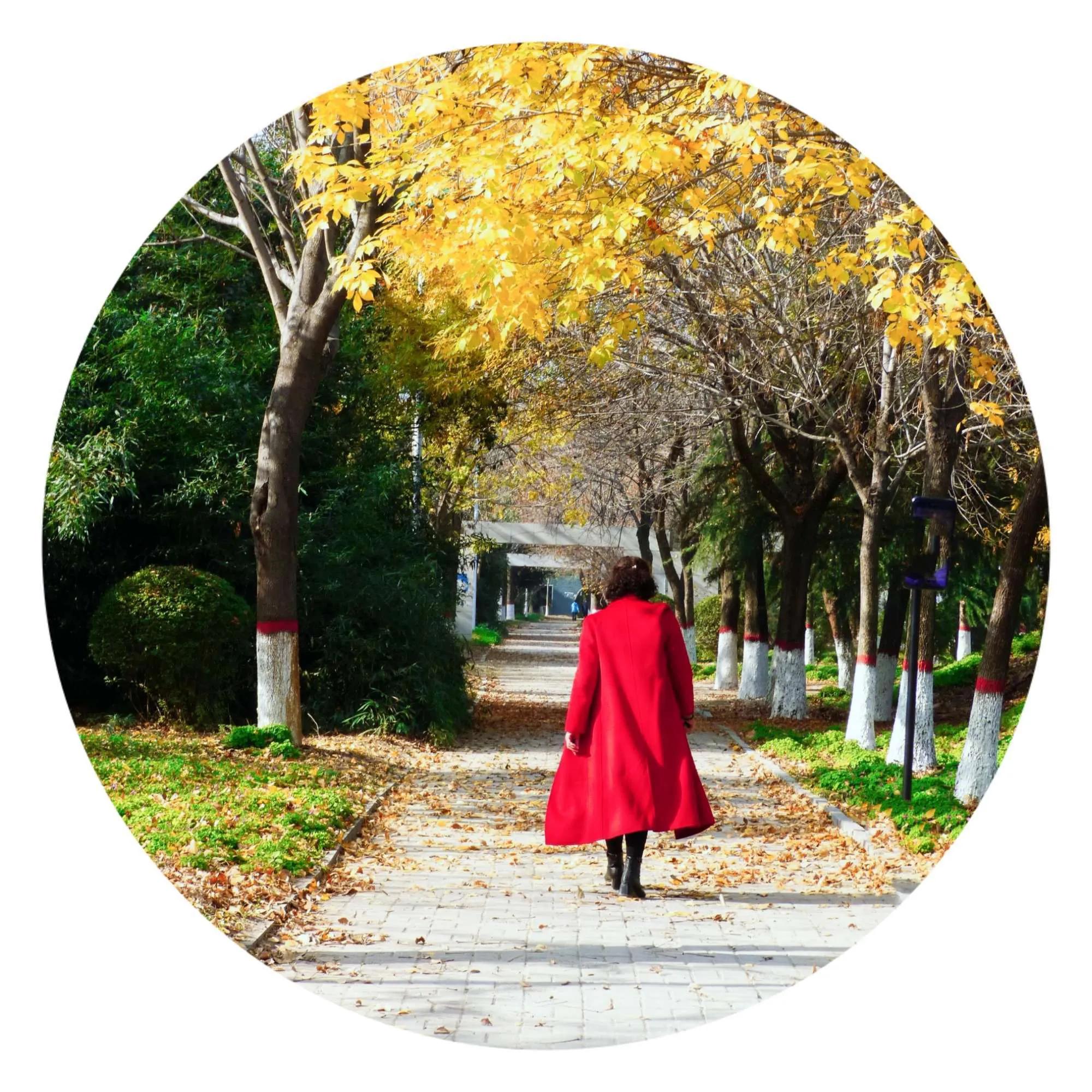 我的家乡鹿邑老子故里作文,我的家乡鹿邑作文400字怎么写