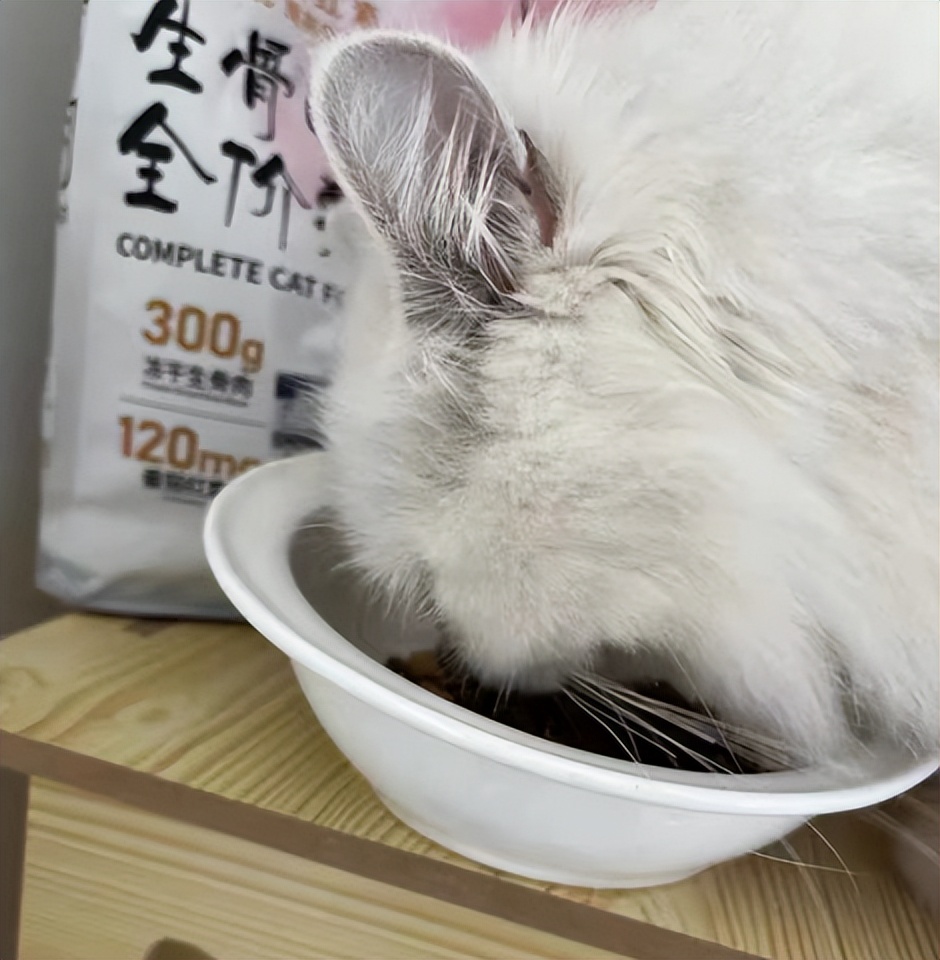 美国进口喵达全猫粮幼猫可以吃吗,喵达冻干猫粮怀孕的猫咪能吃吗