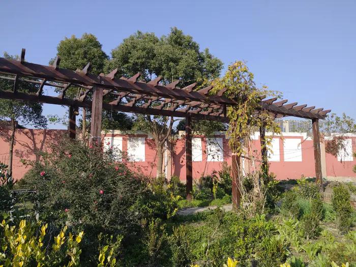 画与景,幼儿长卷画景