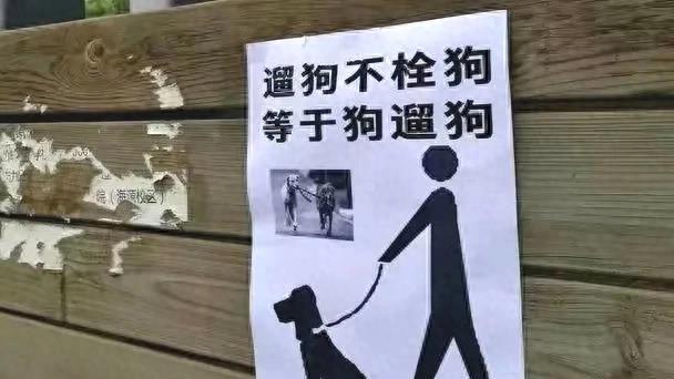 常德德景园业主,对于养狗的业主警告