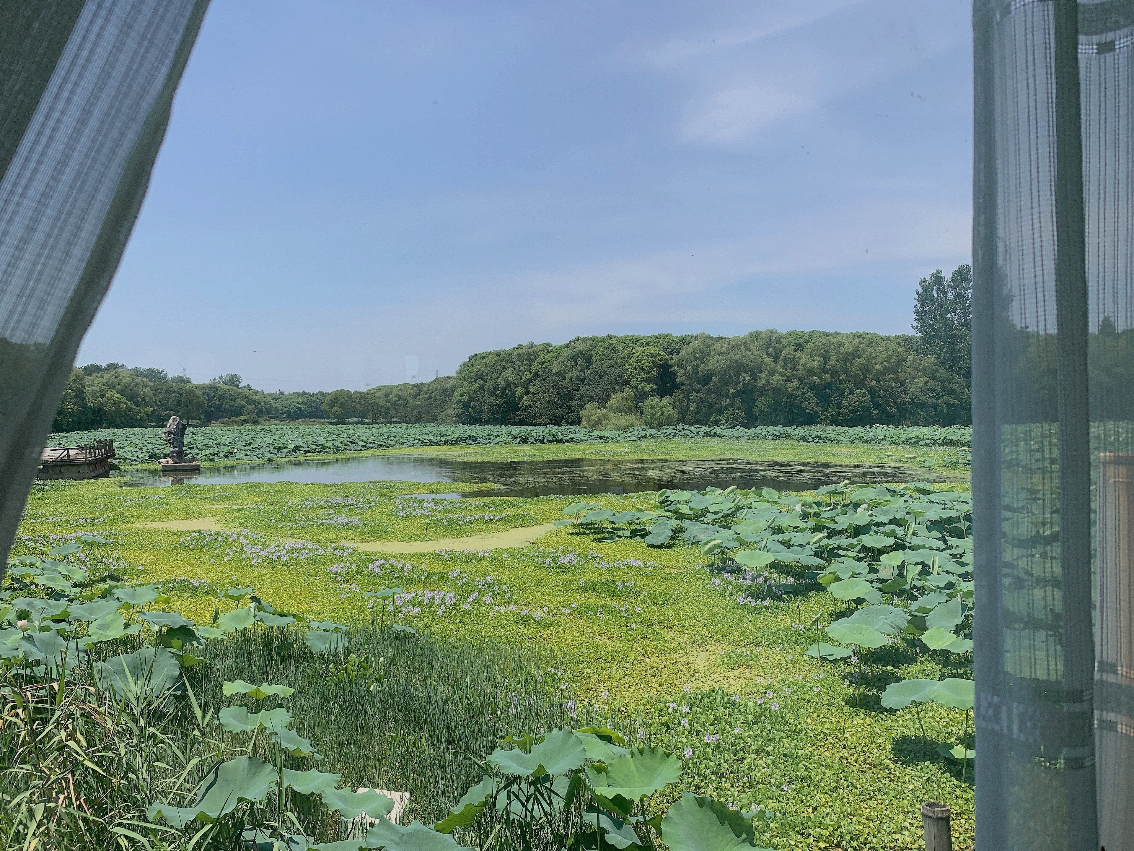 练塘高铁站,练塘高铁站选址在哪个位置